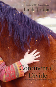 Book Cover: Continental Divide